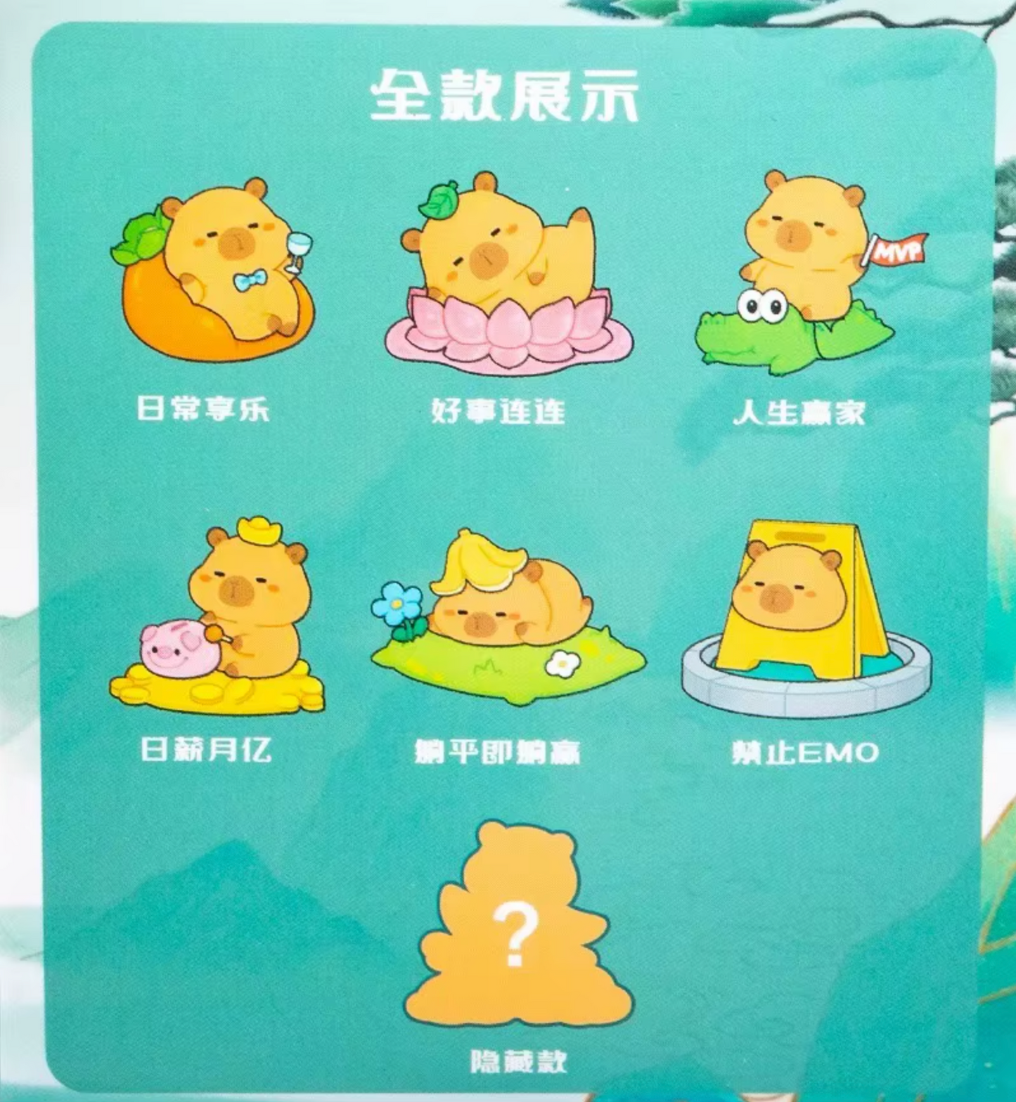 Capybara Blind Box Figurines